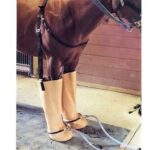 Botas Masajeadoras Whirlpool Para Equinos. Caballos.
