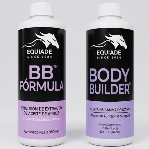 BB-formula / Body builder