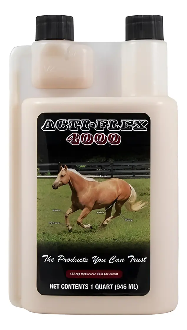 Actiflex 4000 1 Lt